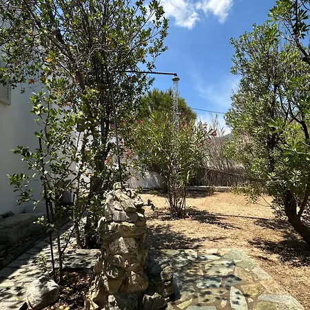 Pines House Holiday home