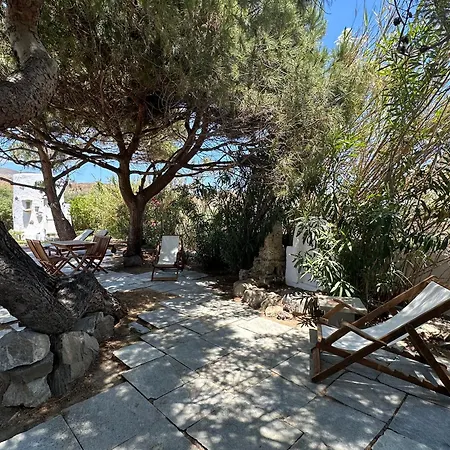 Holiday home Pines House Livadi (Serifos)