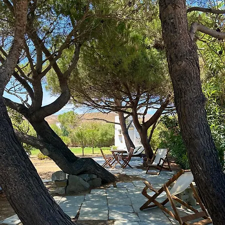 Pines House *