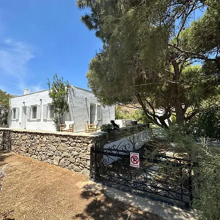 Pines House *